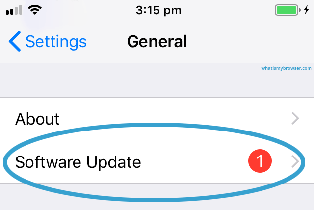 iOS Software update from the General section of the Settings app