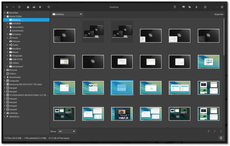 Linux Mint Theme picker showing different desktop layouts
