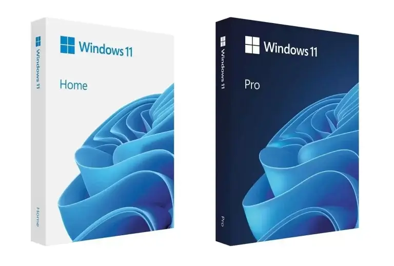 Windows 11 home and pro