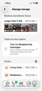 You can also see how much each chat group takes up