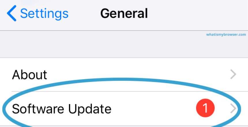 iOS Software update from the General section of the Settings app