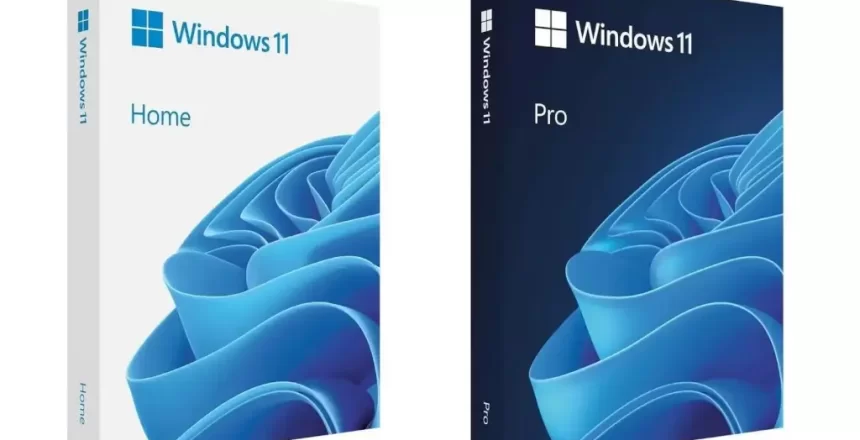 Windows 11 home and pro
